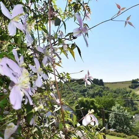 Apartamento Zum Harpelstein *