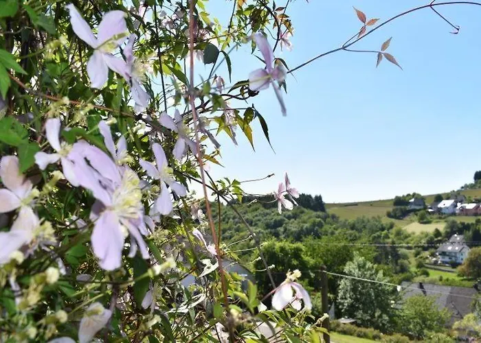 Lägenhet Zum Harpelstein *